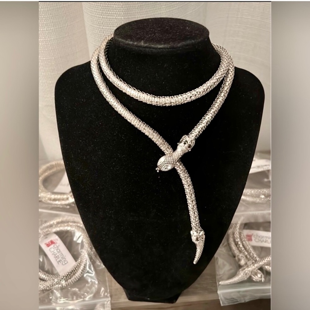 Snake Necklace-Silver NWT